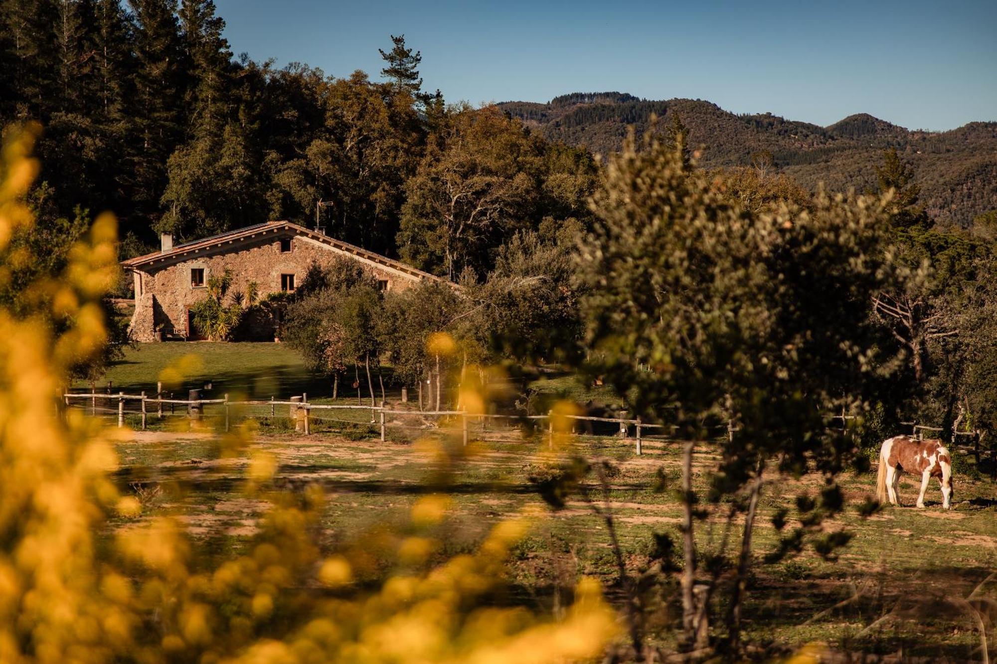 La Paradella - Apartamento De Uso Turistico Arbúcies Zewnętrze zdjęcie